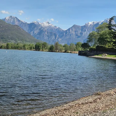 Dorato Roxy * Colico