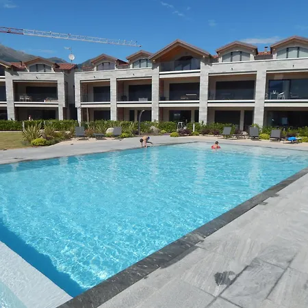 Dorato Roxy * Колико