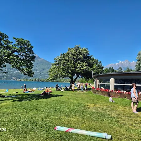 Daire Dorato Roxy Colico