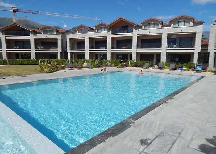 Dorato Roxy * Colico